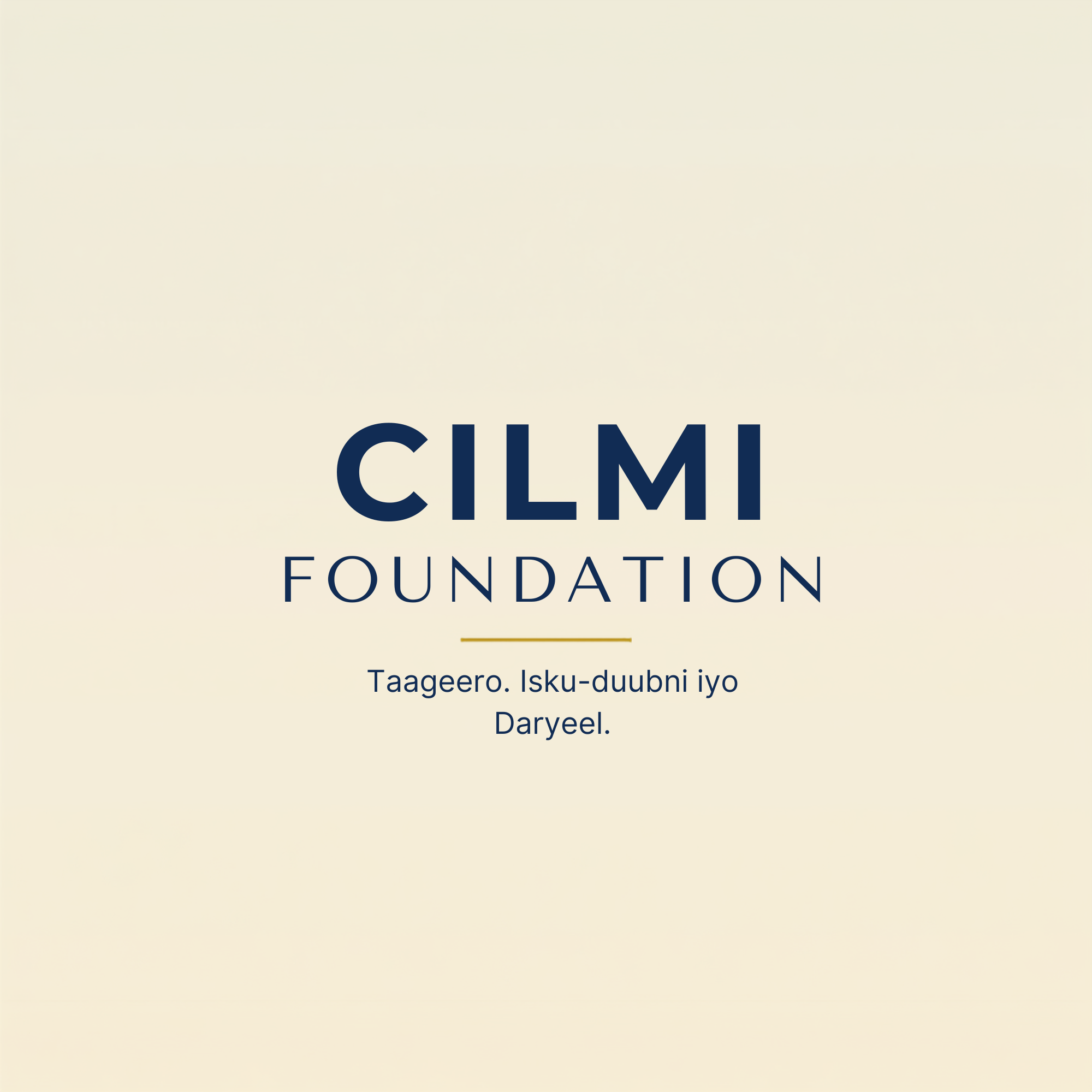 Cilmi Foundation logo